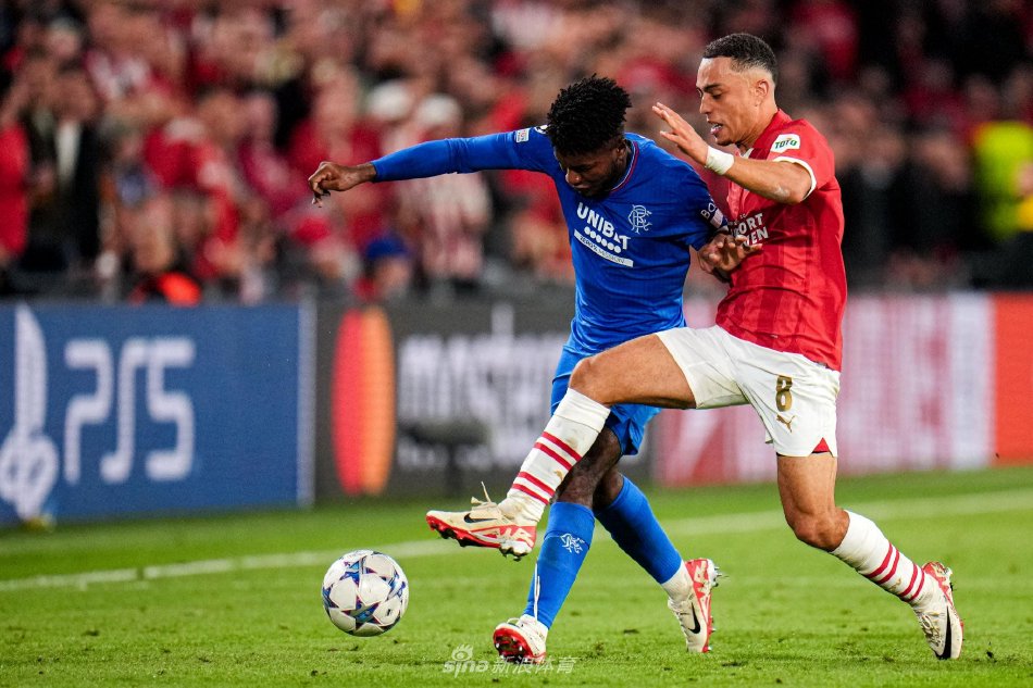 财务灵活性 财务灵活性